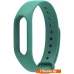 Xiaomi для Mi Band 2 (зеленый) ver2