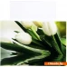 Yesion матовая A4, 170 г/м2, 50 л ver4