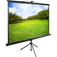 Проекционный экран CACTUS TriExpert 160x160 CS-PSTE-160x160-BK