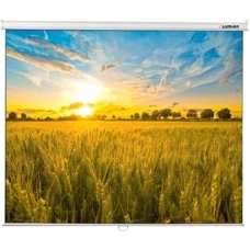 Проекционный экран Lumien Eco Picture 220x220 LEP-100110
