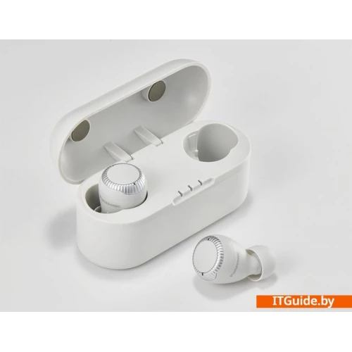 Наушники Panasonic RZ-S300WGE-W ver3