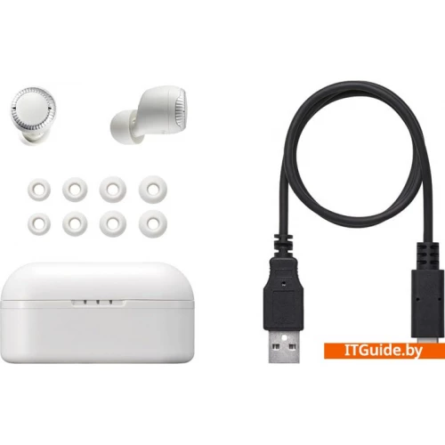 Наушники Panasonic RZ-S300WGE-W ver5