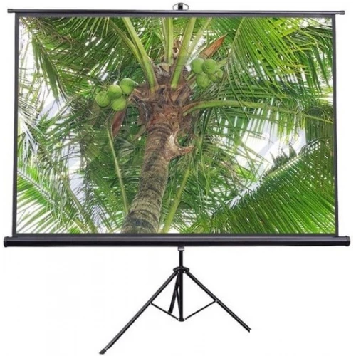 Проекционный экран Future Vision Tripod 200x200 T200SMW ver1