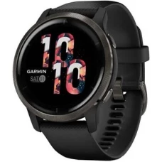 Умные часы Garmin Venu 2 (сланцевая нержавеющая сталь/черный)