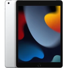 Планшет Apple iPad 10.2" 2021 64GB 5G MK493 (серебристый)