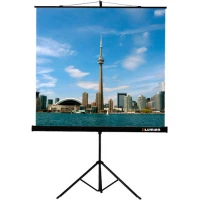 Проекционный экран Lumien Eco View 203x203 LEV-100108