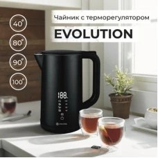 Электрический чайник Evolution KP15181 LED