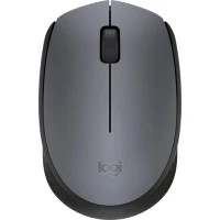 Мышь Logitech M171 (графит)