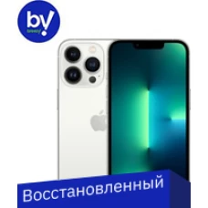 Смартфон Apple iPhone 13 Pro 1TB Восстановленный by Breezy, грейд B (серебристый)