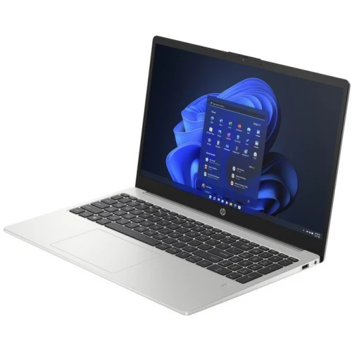 Ноутбук HP ProBook 250 G10 86Q45PA ver3