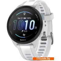 Умные часы Garmin Forerunner 165 (туманно-серый/белый камень)