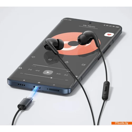 Наушники Xiaomi Type-C Earphones M2413E1 (черный, международная версия) ver3