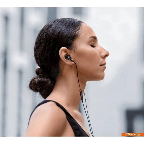 Наушники Xiaomi Type-C Earphones M2413E1 (черный, международная версия) ver4