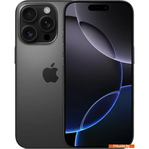 Телефон Apple iPhone 16 Pro Dual SIM 128GB (черный титан) ver1