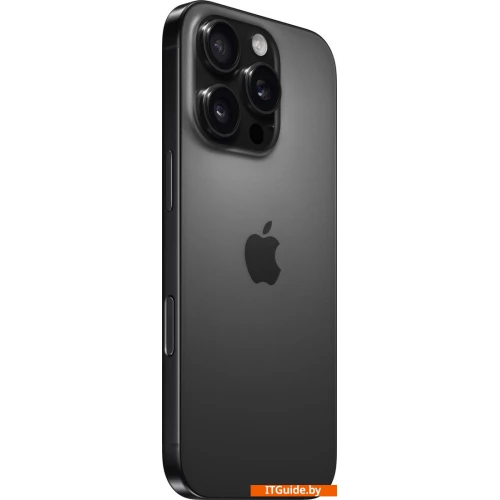 Телефон Apple iPhone 16 Pro Dual SIM 128GB (черный титан) ver4