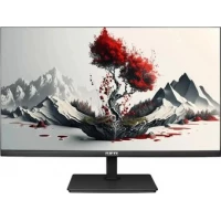 Монитор RDW Computers 2401K/F00В3100V2A1H