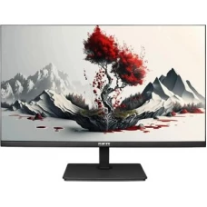 Монитор RDW Computers 2401K/F00В3100V2A1H
