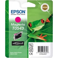 Картридж Epson C13T05434010