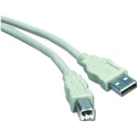 Кабель Cablexpert CC-USB2-AMBM-10